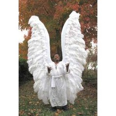 angel wings costume.jpg