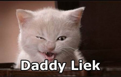 catdaddy.jpg