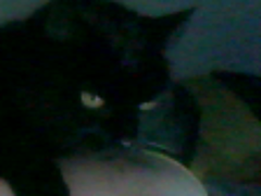 563.png 563.png