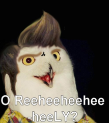 1330917080102.png
