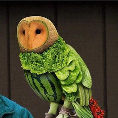 fruit owl.jpg