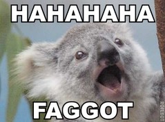 koalafaggot.jpg