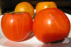 800px-Diospiros_kaki_Fruit_IMG_5465s.JPG