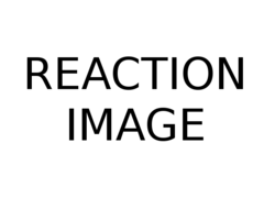 reactionimage.png