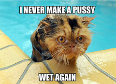 Wet-Kitty-never make wet again.png