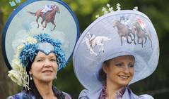 05-Horse-Differnt-Color-Crazy-Hats.jpg
