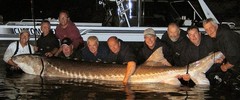 Sturgeon big.jpg
