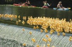ducks toy falling off waterfall funny.jpg