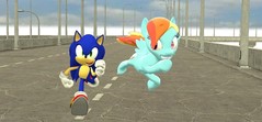 sonic_and_rainbow_dash_by_sp19047-d415hy2.jpg