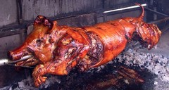 pig1.jpg