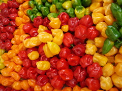 Chile-Habanero.jpg