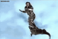 alligator2.gif