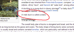 drake.png