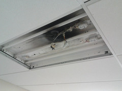 2013-04-10.jpg