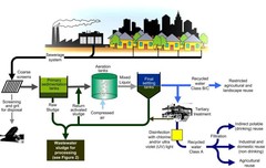 sewage-treatment-process.jpg