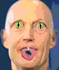scott.jpg