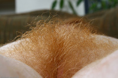 red pubic hair.jpg