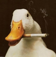 smoking_duck-18594.jpg