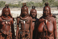 trib tits black.jpg