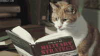 0506943049.gif