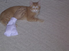 DSCN3782.JPG