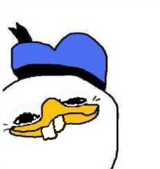 doran.png