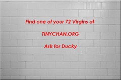Find virgin at Tiny chan White Tiles.jpg