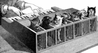 piano made of kittens.gif