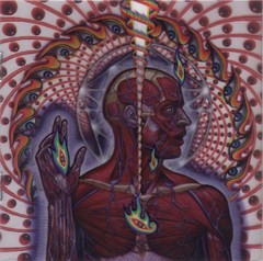 Lateralus-booklet.jpg
