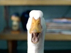aflac-duck.jpg
