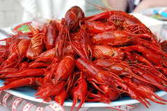 Crawfish.jpg