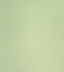 3487634.PNG