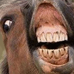 aCC8weG.gif