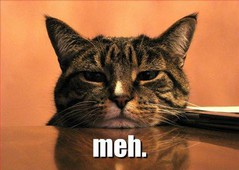 catmeh.jpg