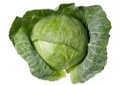 cabbage.jpeg
