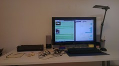 QUACKSDESK.jpg