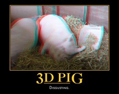 3D Pig.jpg