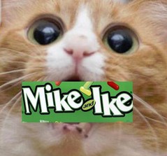 Untitled.jpg