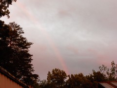 100_0141.JPG