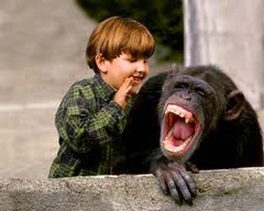 iboy ape laughter.jpeg iboy ape laughter.jpeg