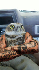 u wot.jpg u wot.jpg
