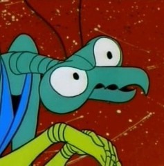 image.jpg