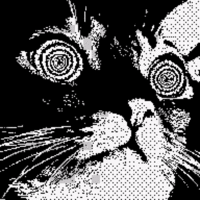 hypnocat.gif