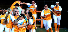 vols baseball 2013.png vols baseball 2013.png