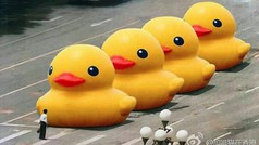 tiananmen-square-tank-man-ducks.jpg tiananmen-square-tank-man-ducks.jpg