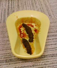 Bedpan.jpg