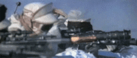 star_wars_winter_vs_scrambling_cat_on_white_sheets.gif