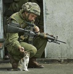soldier-pets-012_1.jpg