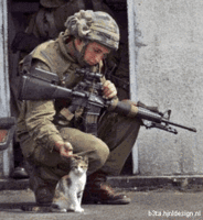 beta296.gif