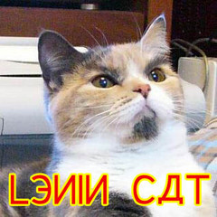 Lenin cat.jpg
